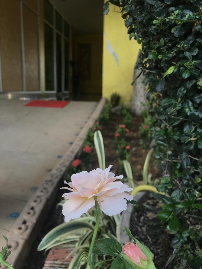 The M Bokeo Hotel Huay Xai Εξωτερικό φωτογραφία